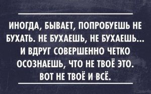 9319261.jpg