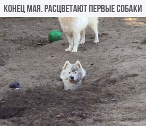 YJbduYzrzq8.jpg