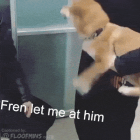 file.gif