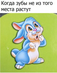 OfowVzxEqdo.jpg