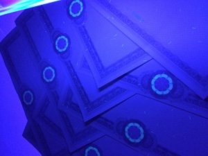 IMG_0137.JPG