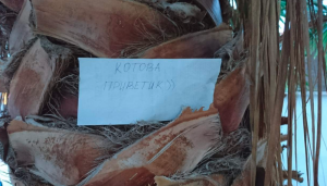 Снимок экрана от 2017-06-04 23-00-35.png