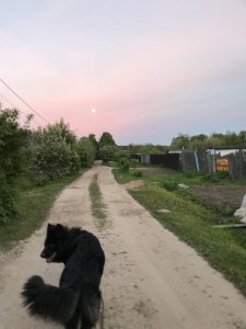 IMG_0991.JPG