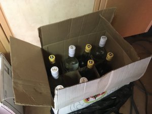 IMG_0527.JPG