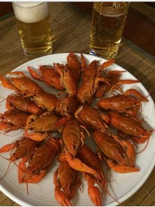 IMG_1013.jpg
