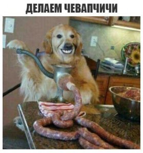 Zjce2ucGCN4.jpg