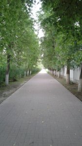 20170805_202755.jpg