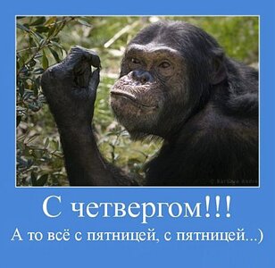 cs620618vk_8901985_16018793.jpg