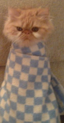 Снимок экрана от 2016-03-04 12:48:44.png