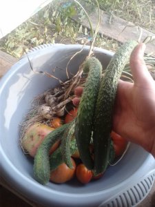20170914_160748.jpg
