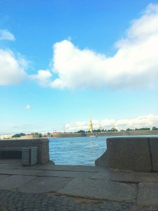 0B75D729-2ED2-41E4-ADDD-702F940CB1F7.jpeg