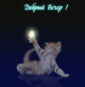 192797405_08eb7a7042e047d837aee1f7a238835b_800.gif