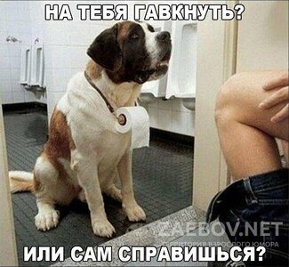 1456316935_image-7.jpg