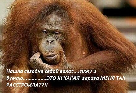 Nw1Z02aGaU.jpg
