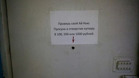 151.jpg