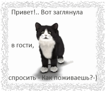 5866821.gif