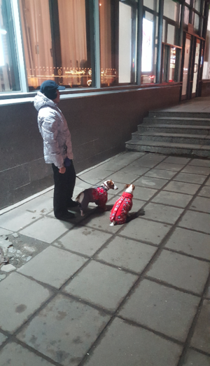 Снимок экрана от 2016-03-11 21:49:09.png