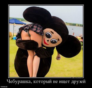 993990_1437937500.jpg