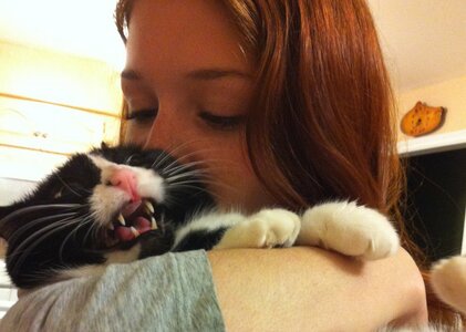猫キス.jpg