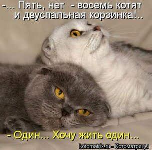 0d61e20e7230f2d08a359240acf701c3.jpg