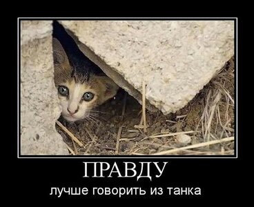 62ae29fd282db929b10013bc5e9f4fc2-koteyka.jpg