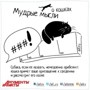 086a8def116e6d50d0c9c6be860bd0e7.0.jpg