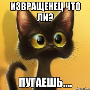 izvracshenec-chto-li_54247443_orig_.jpeg