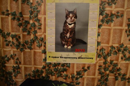 DSC_0003.JPG