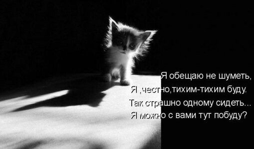 1a993233f802.jpg