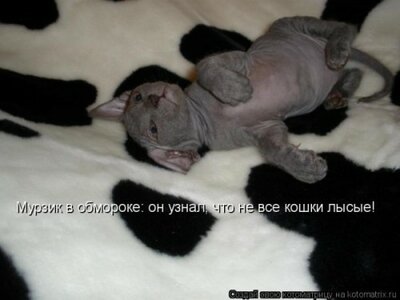 70798374a7af91b5ae69caf70fb3f214.jpg