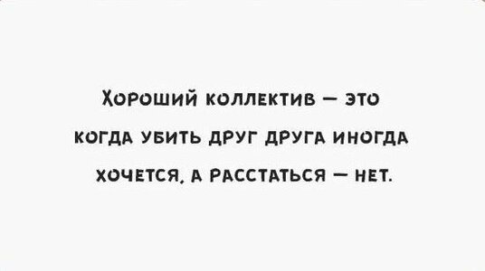 7388226.jpg