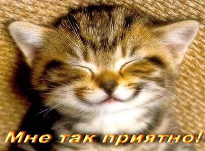 1f3c7624186c3533a98c3d46754763c6.jpg
