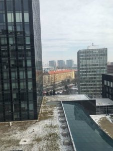 IMG_5966.JPG