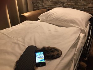 IMG_6411.JPG