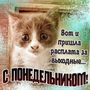 l_7958-otkritki-Otkritka-kartinka-ponedelnik-prikolnaya-otkritka-ponedelnik.jpg