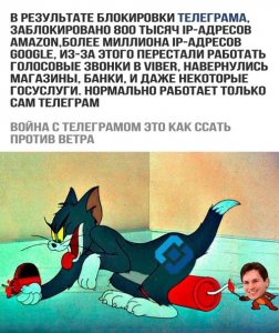 1523959917.jpg