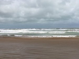 IMG_9174.JPG