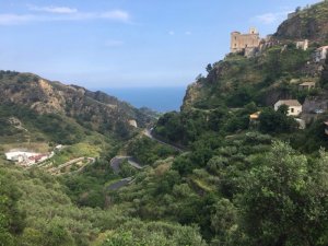 IMG_9850.JPG
