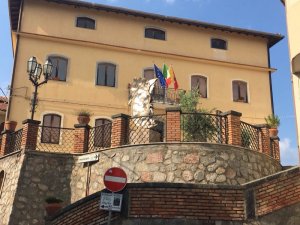 IMG_9858.JPG