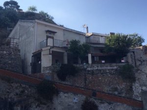 IMG_9811.JPG