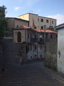 IMG_9864.JPG