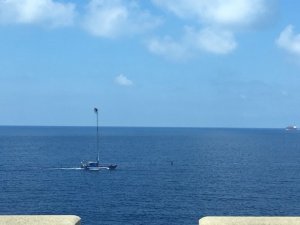 IMG_9900.JPG