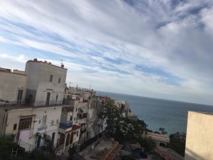 IMG_9903.JPG