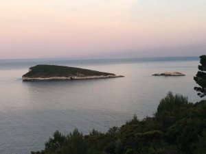 IMG_9906.JPG
