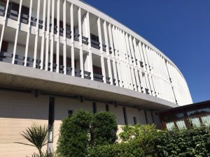 IMG_9915.JPG