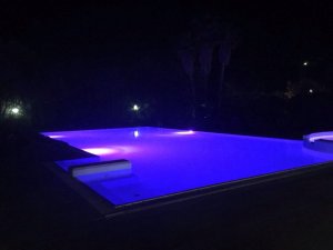 IMG_9924.JPG
