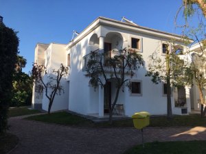 IMG_9931.JPG