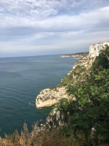 IMG_9938.JPG