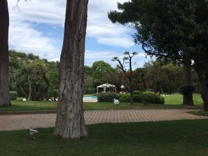 IMG_9944.JPG