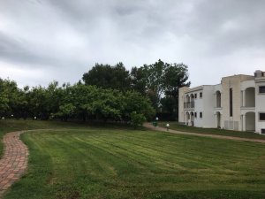 IMG_9952.JPG